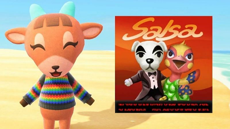 Pashmina in Animal Crossing: New Horizons (Image via NoxInfluencer)