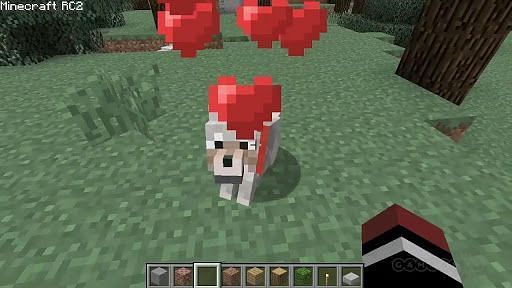 Taming wolves (Image via Minecraft Mods)