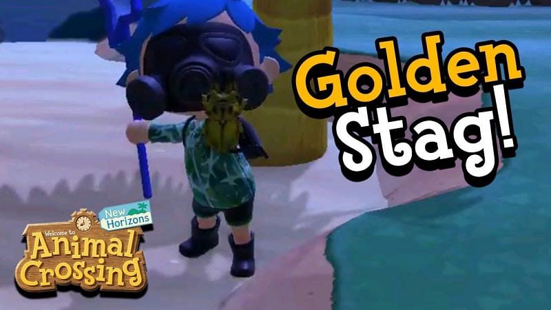 Catching a Golden Stag in Animal Crossing: New Horizons (Image via ImaginatorPage)