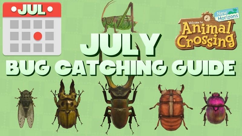 Animal Crossing: New Horizons July bug-catching guide (Image via Super Milltendo)