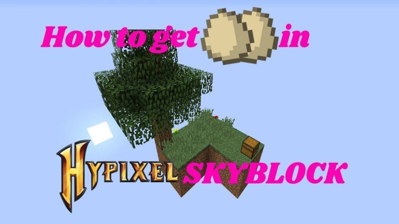 How to get eggs in Minecraft Hypixel Skyblock