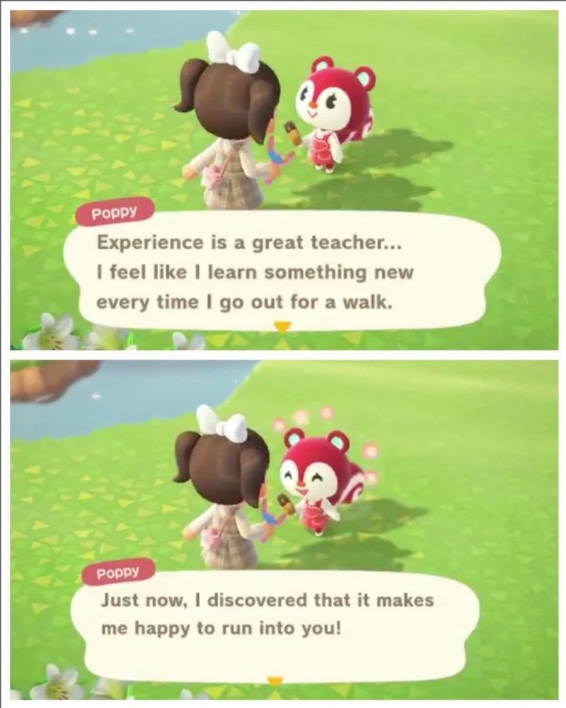 Poppy in Animal Crossing New Horizons Everything you need to know