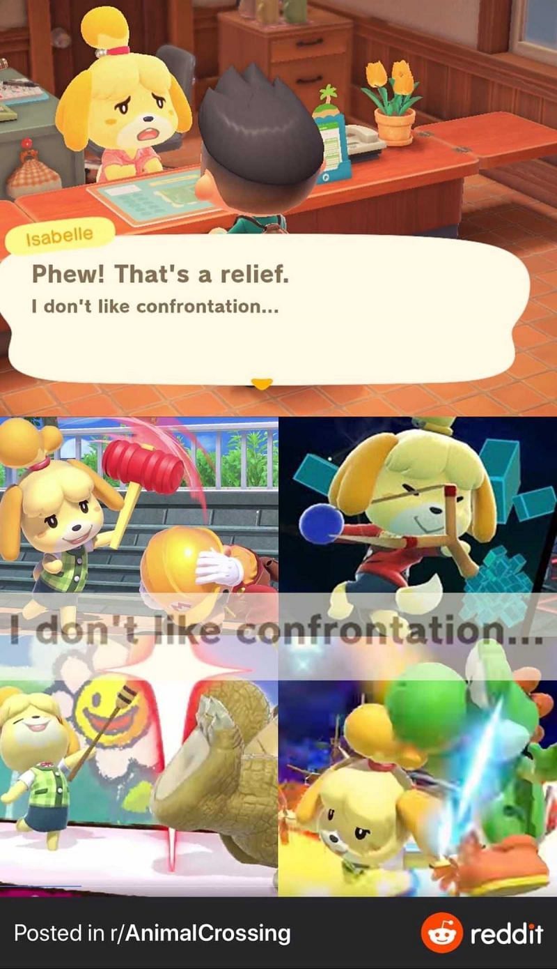 Isabelle being a hypocrite in Animal Crossing: New Horizons (Image via Hypable)