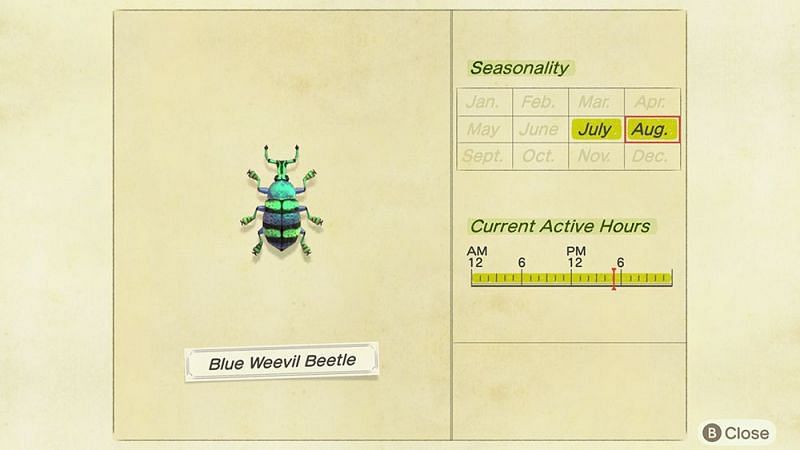 Blue weevil beetle in Animal Crossing. Image via Super Parent