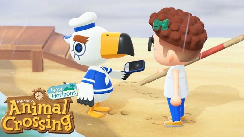 Gulliver the seagull from Animal Crossing: New Horizons (Image via MK Nintendo World)