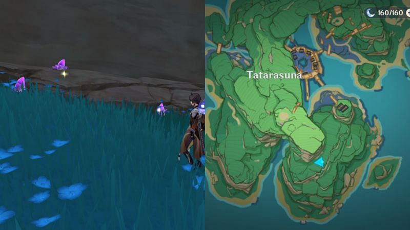 amethyst lump locations amethyst lump locations