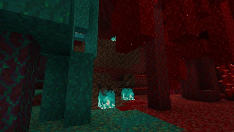 Where a warped and crimson forest meet (Image via Mojang)