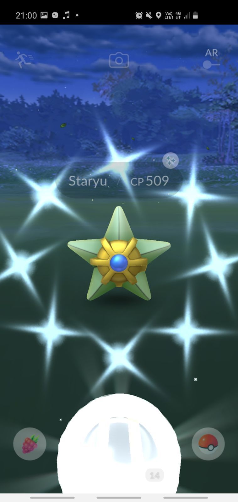 Staryu Pokémon How to Catch, Moves, Pokedex & More