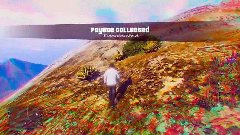 all peyote plants in gta 5 story mode