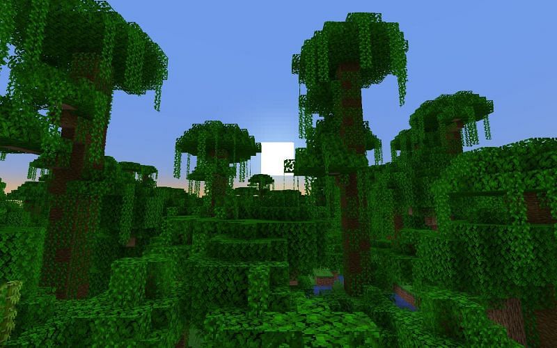 5 Best Biomes To Build A Hidden Base In Minecraft