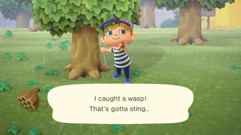 Wasps in Animal Crossing. (Image via Ordinary Reviews)