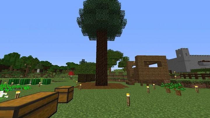 How to grow big trees in Minecraft