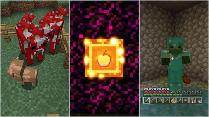 Top 5 Rarest Things In Minecraft Survival