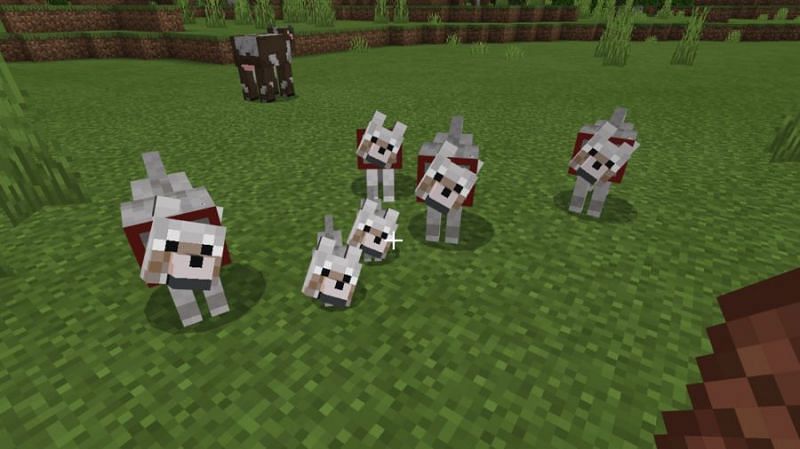 how-to-summon-tamed-pets-in-minecraft