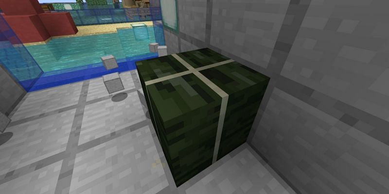 A block of dried kelp (Image via Minecraft)