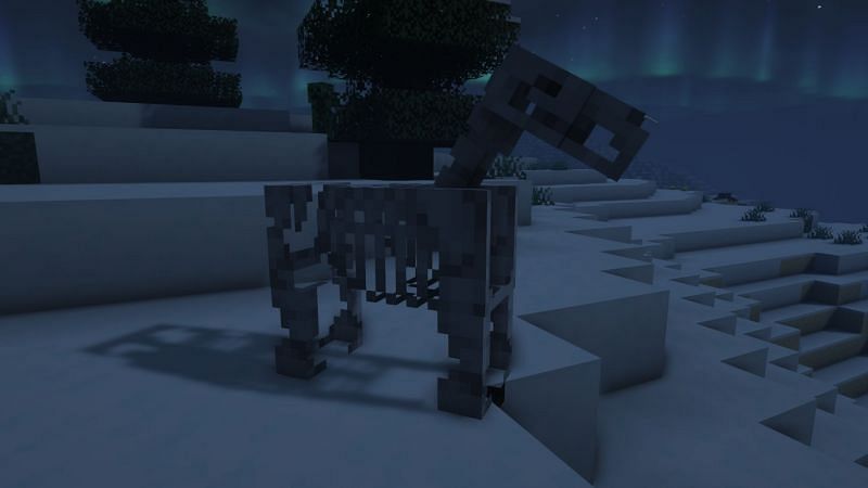 Top 5 Things You Probably Didnt Know About Skeleton Horses In Minecraft