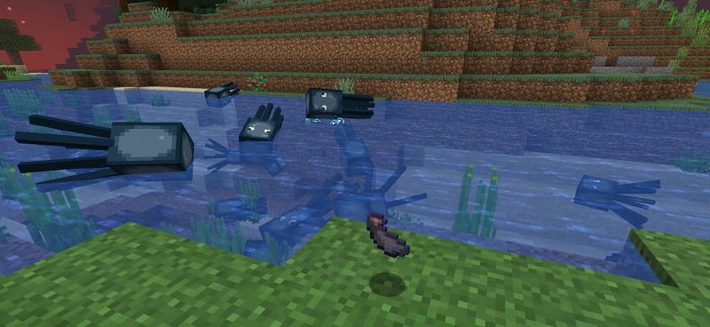Ink sacs in Minecraft are dropped when a squid dies (Image via Minecraft)