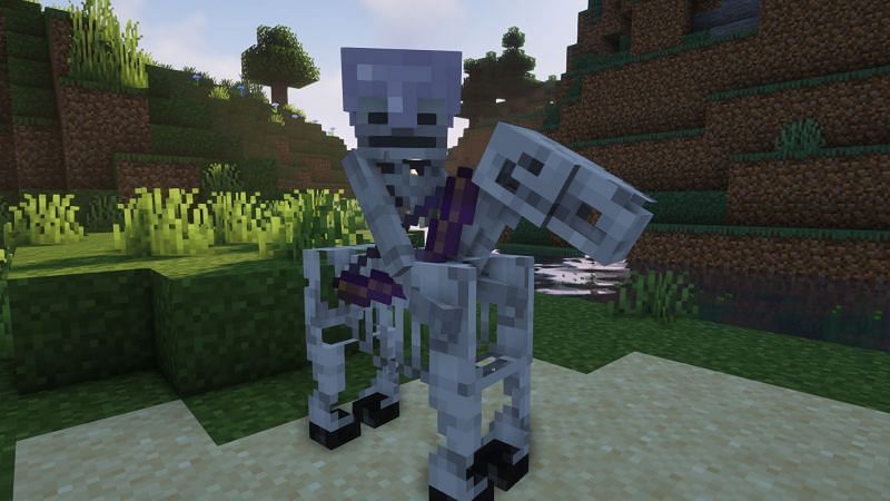 Top 5 things you probably didn't know about skeleton horses in Minecraft