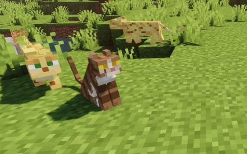 Ocelots in Minecraft All you need to know