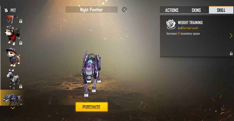 Night Panther increases the inventory space (Image via Free Fire)