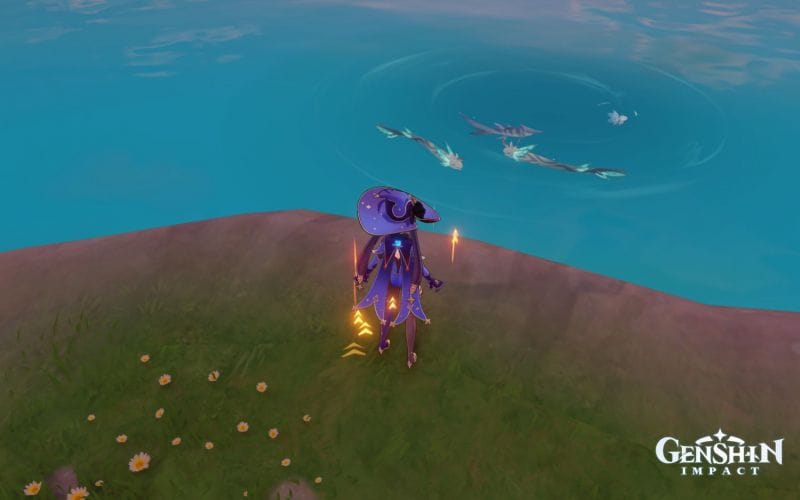 Rusty Koi Golden Koi In Genshin Impact Fishing Location And Best 