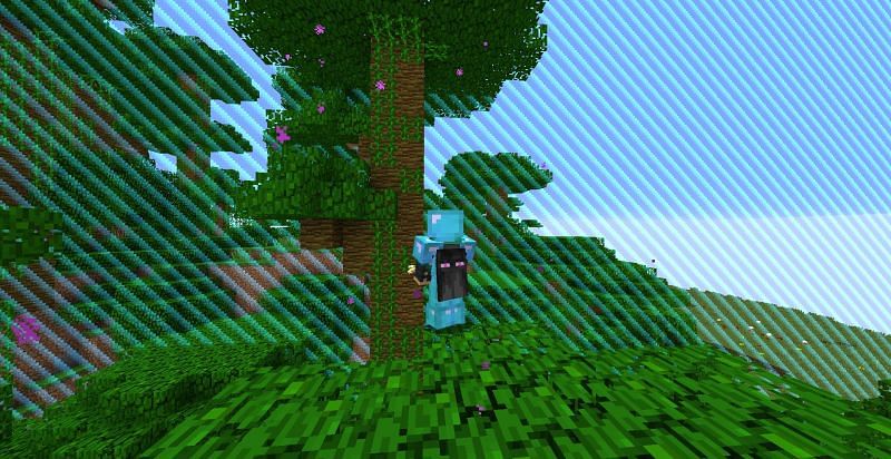 How to create a world border in minecraft