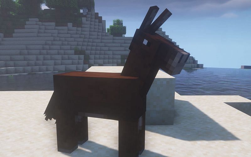 How to get mules in Minecraft