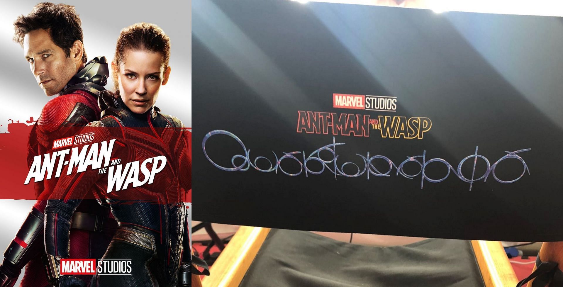 Hilarious Ant Man And The Wasp Memes Trend After Strange Quantumania