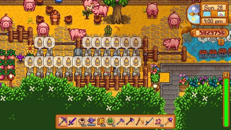 What To Do With Truffle Oil Stardew