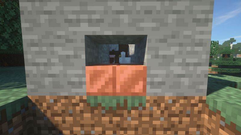 The injured mobs are lined up and can be hit with a crossbow arrow through the slot in the hallway (Image via Mojang)
