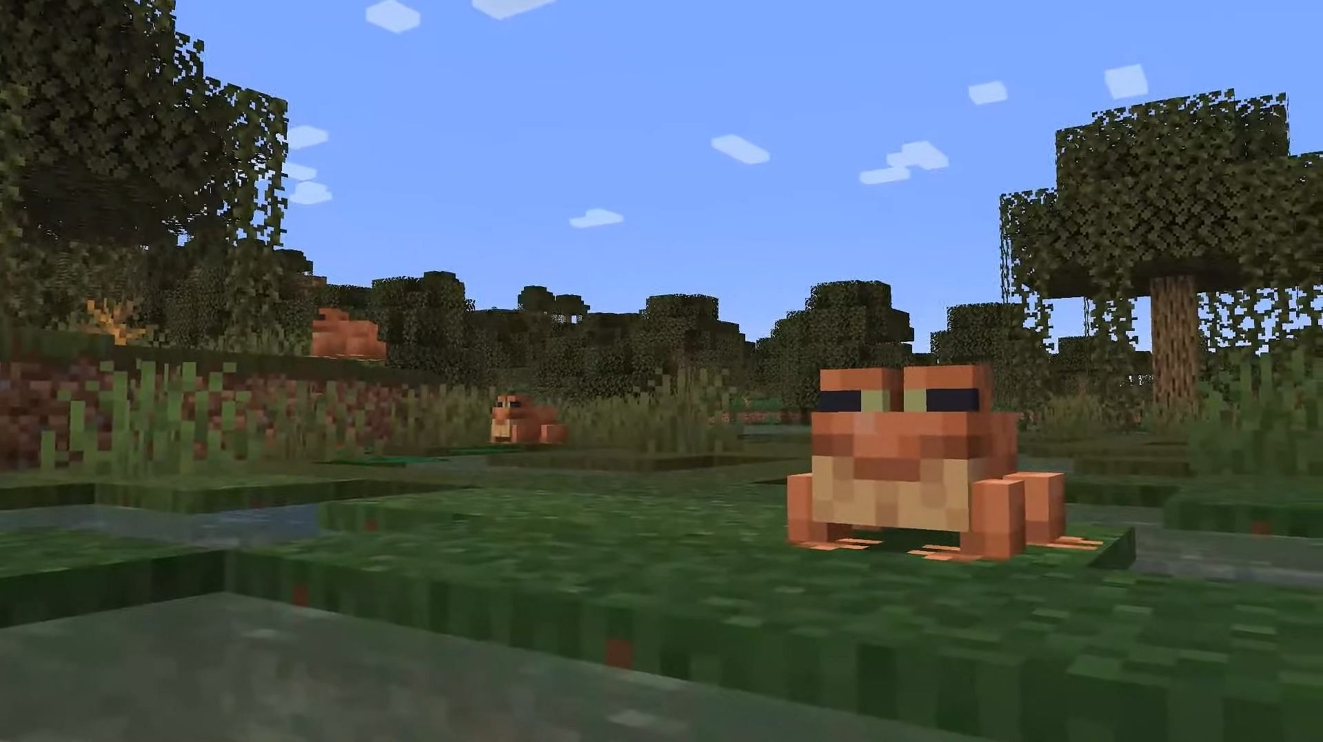 Frogs in the game (Image via Mojang)