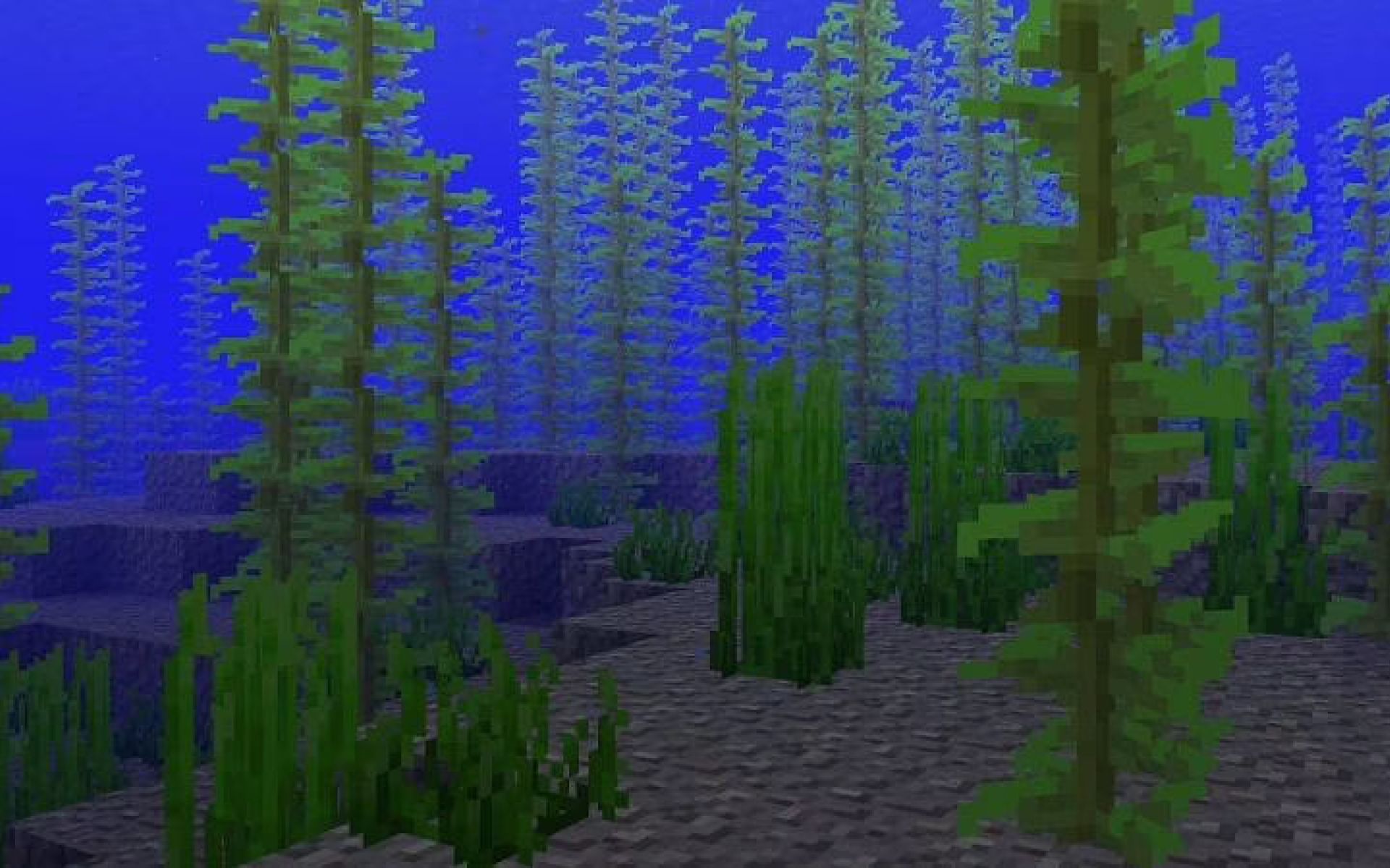 How to build a kelp farm in Minecraft