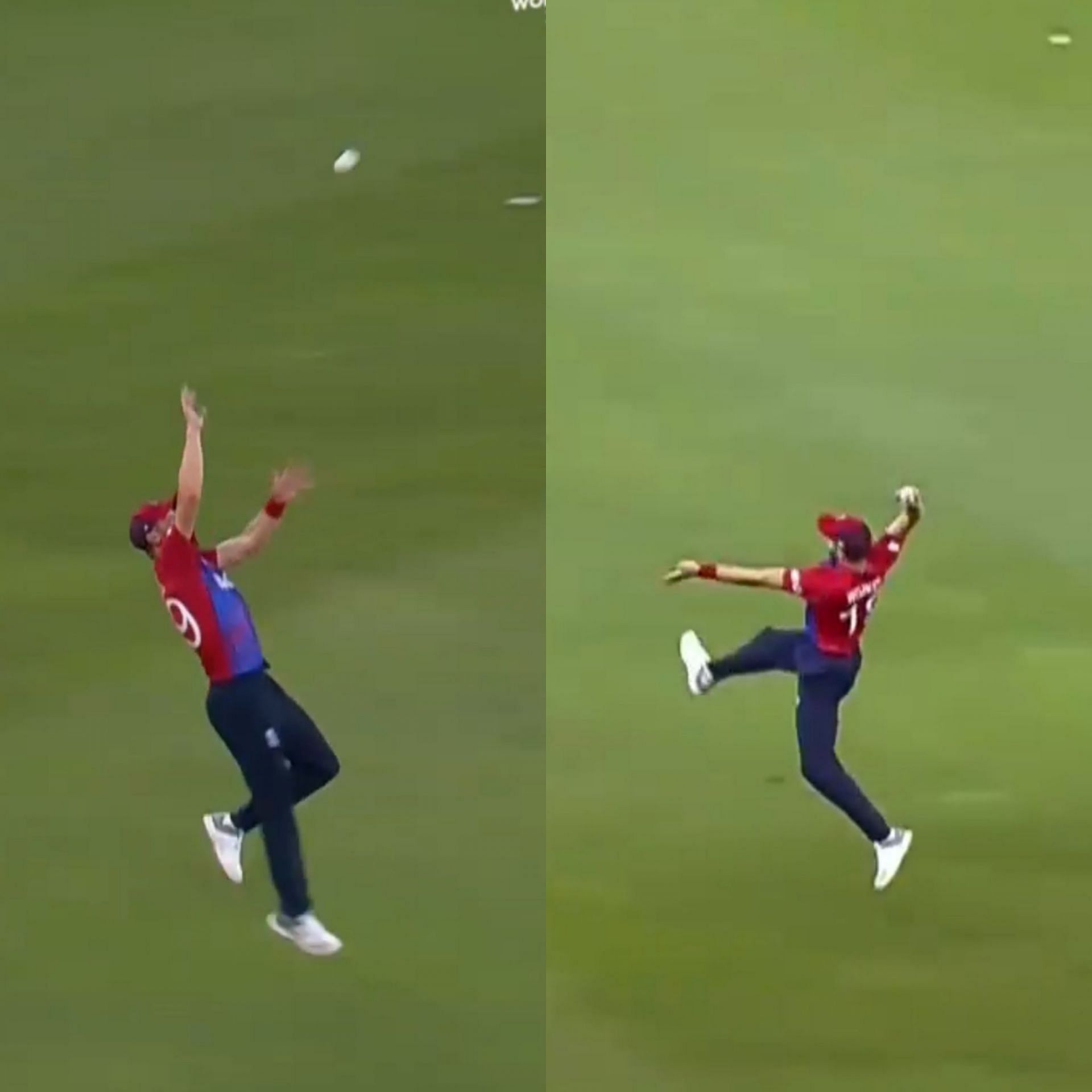 T20 World Cup 2021: [Watch] England's Chris Woakes Takes A One-handed ...