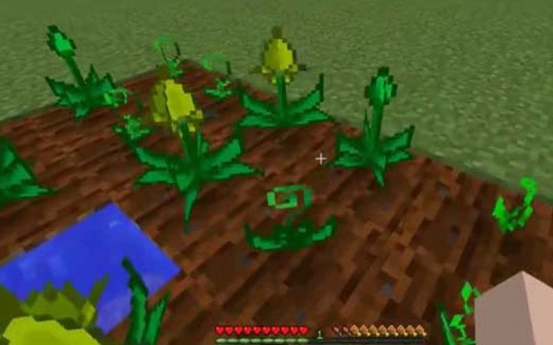 5 best Minecraft mods for magic
