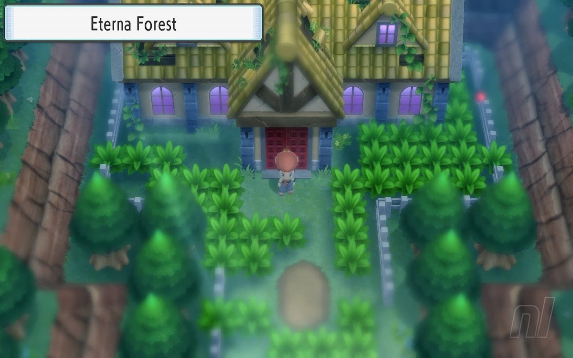 Where to get Defog in Pokemon Brilliant Diamond and Shining Pearl