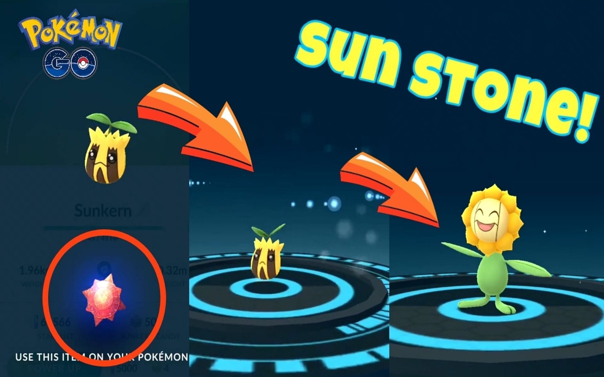 Sunkern can only evolve into Sunflora with a Sun Stone (Image via YouTube/GUARDIAN TV)