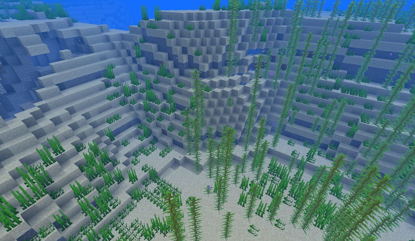 5 best ocean biomes in Minecraft