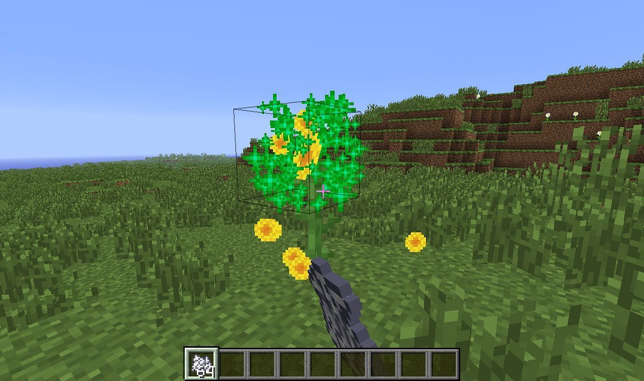 how-to-grow-flowers-in-minecraft