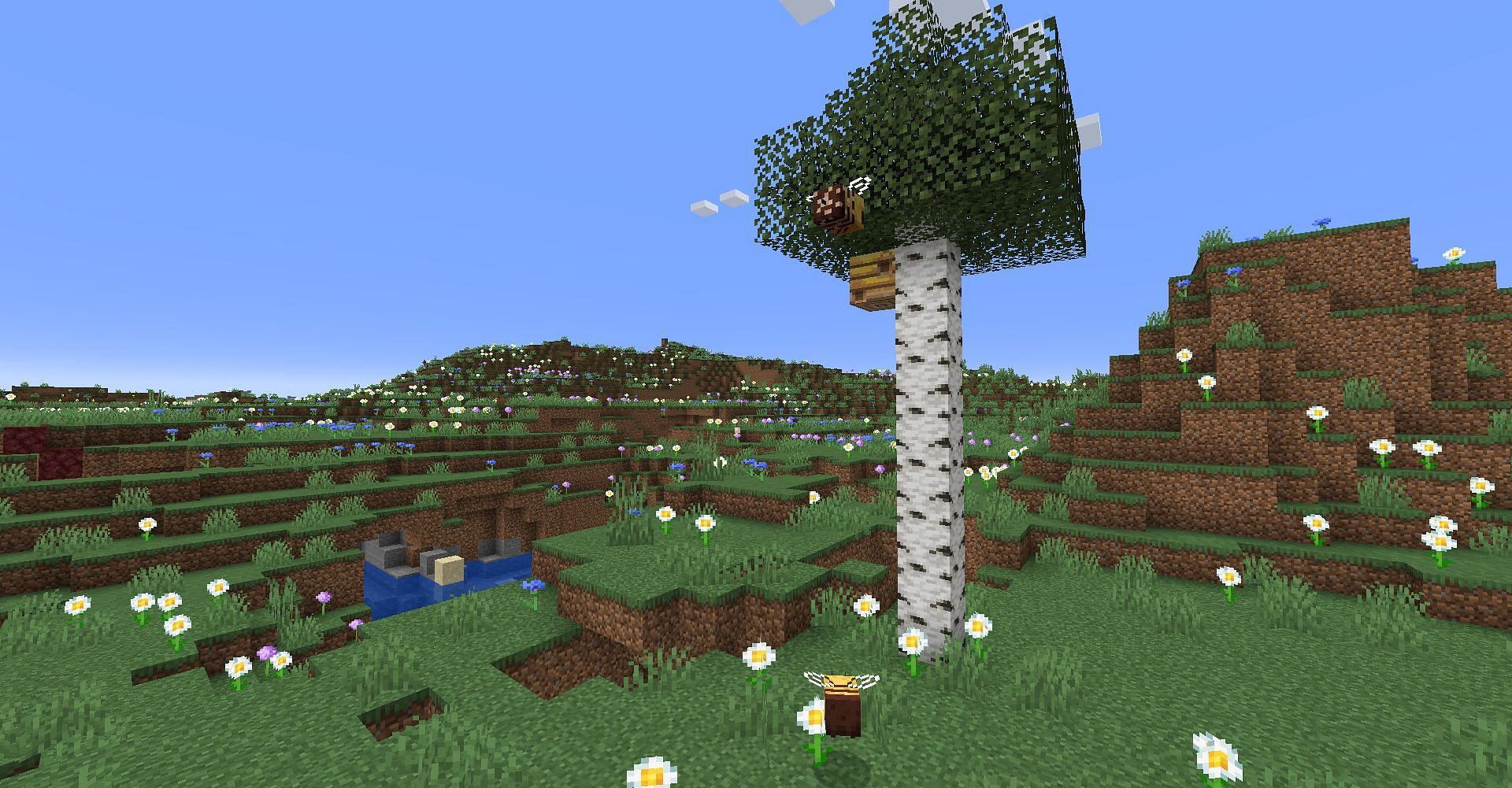 Meadow biome in Minecraft 1.18 update (Image via Minecraft Wiki)