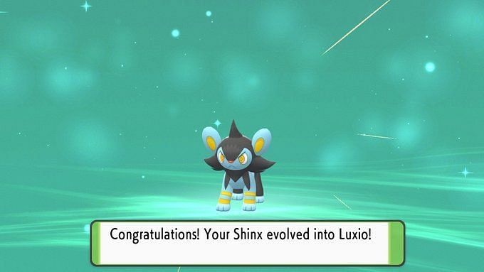 What Level Does Shinx Evolve At In Pokemon Brilliant Diamond And Shining Pearl 6433