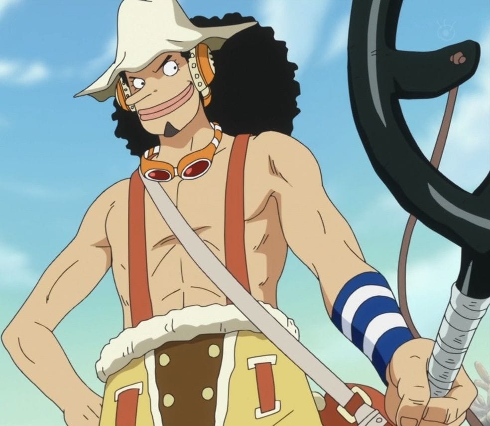 One Piece: Which Straw Hats should or 