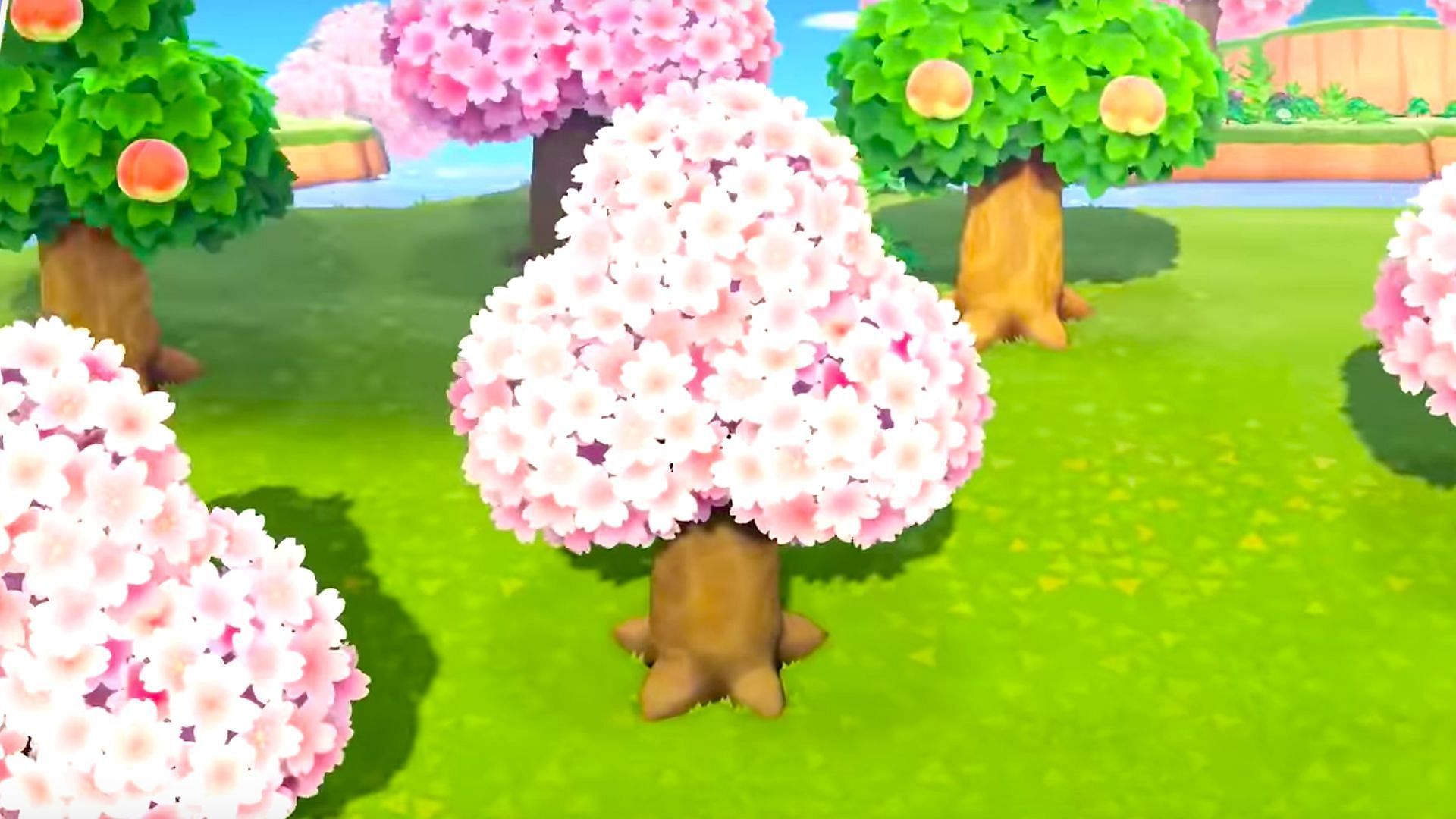 Cherry blossom season is one of Animal Crossing&#039;s best seasons (Image via Nintendo)