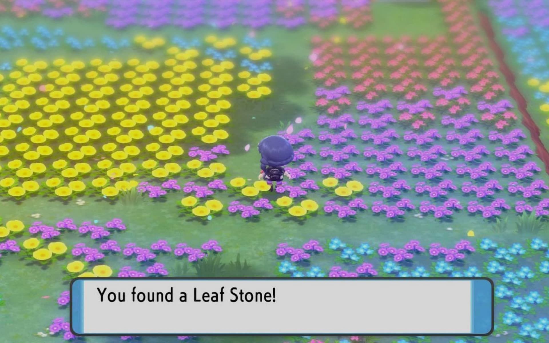 A trainer finding a Leaf Stone in Pokemon Brilliant Diamond and Shining Pearl. (Image via ILCA)