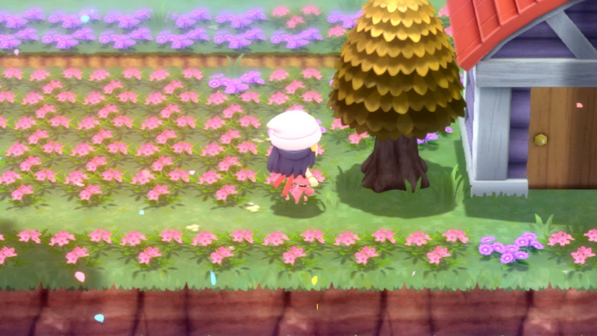 How to evolve Aipom in Pokemon Brilliant Diamond and Shining Pearl