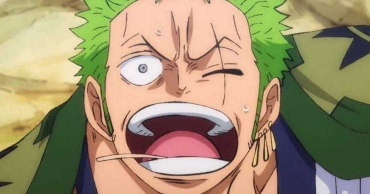 Who could Zoro&#039;s visitor in One Piece Chapter 1038 be? (Image via Toei Animation)
