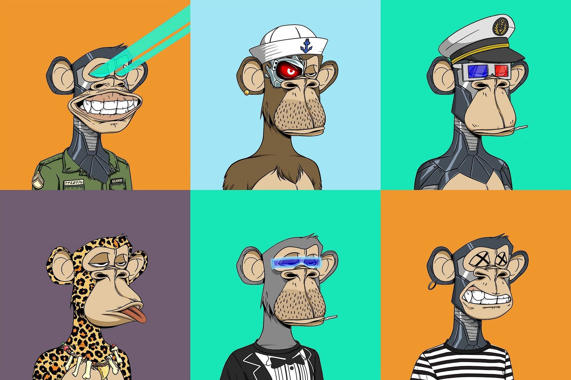 6 out of 10,000 Bored Apes (Image via BAYC)
