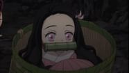 Demon Slayer Why Is Nezuko Immune To Sunlight 