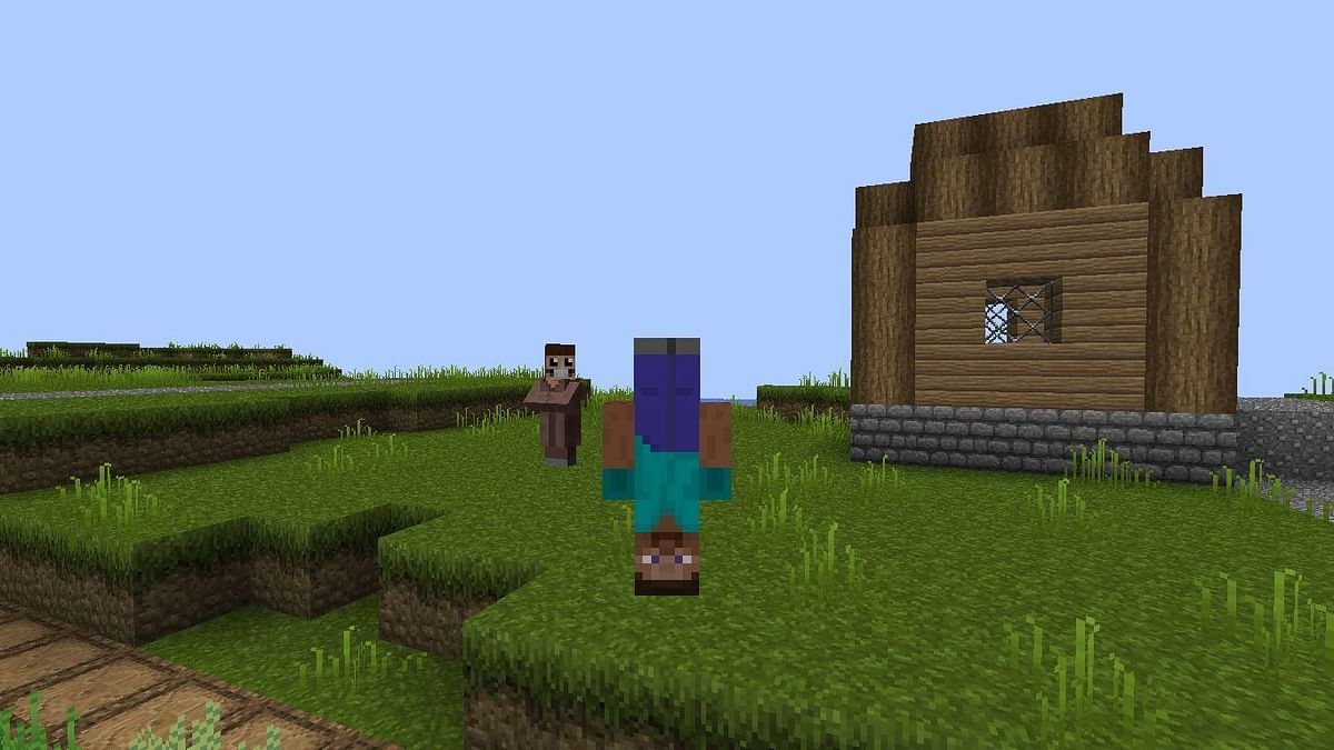 5 Best Funny Skins For Minecraft