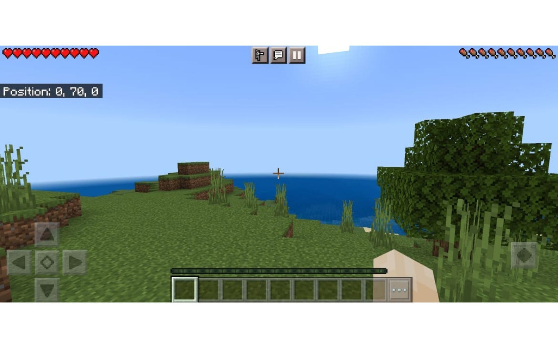 How to enable coordinates in Minecraft PE Stepbystep guide for beginners