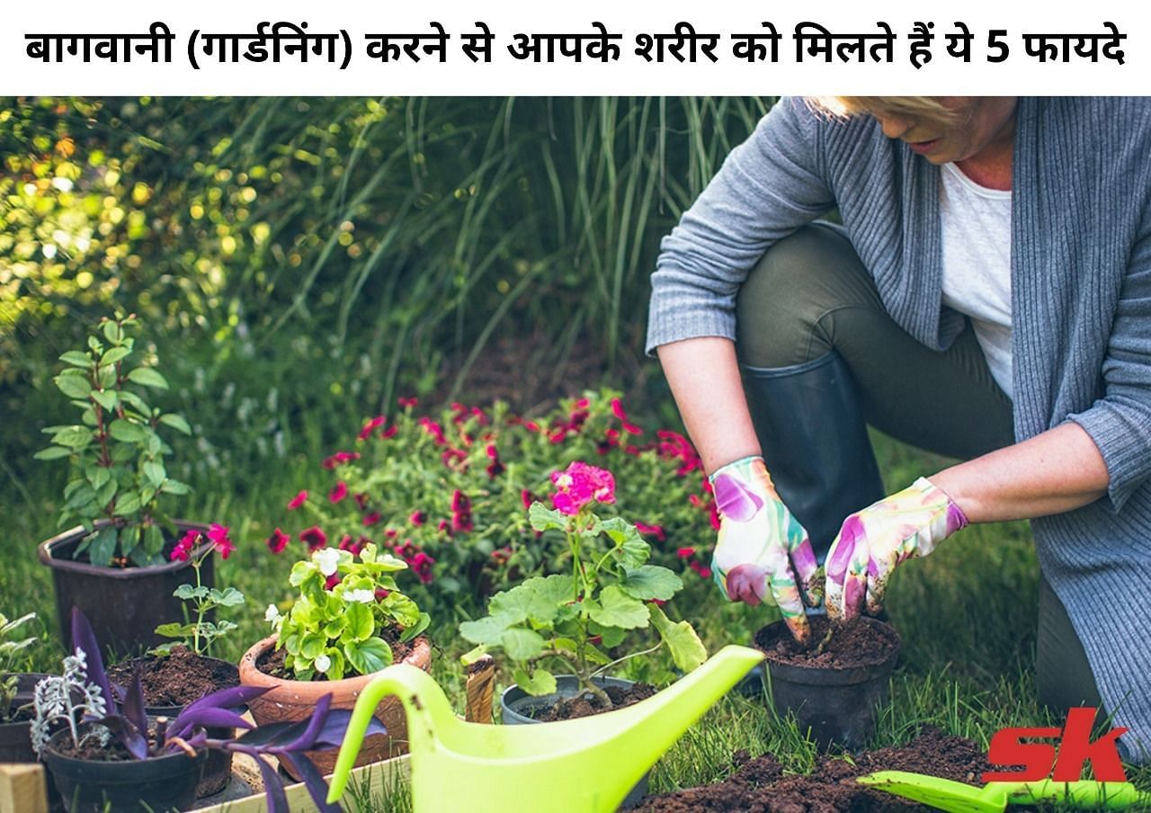 बागवानी (गार्डनिंग) करने से आपके शरीर को मिलते हैं ये 5 फायदे (फोटो - sportskeeda hindi)